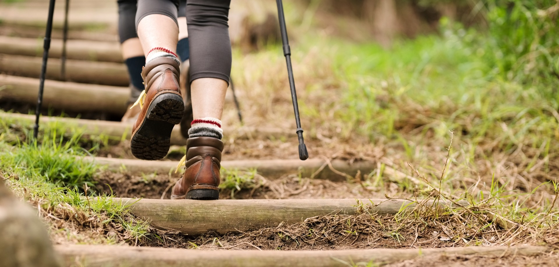 Wanderer laufen eine Treppe im Wald hoch.