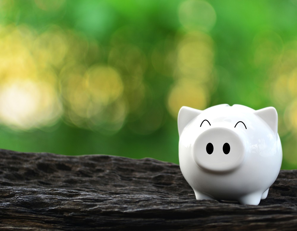 Sparschwein, in dem symbolisch für die Verpflichtungen in der Beamtenversorgung angespart werden kann wie im kvw-Versorgungfonds